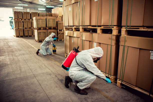 Best Residential Pest Control  in Jennings, LA