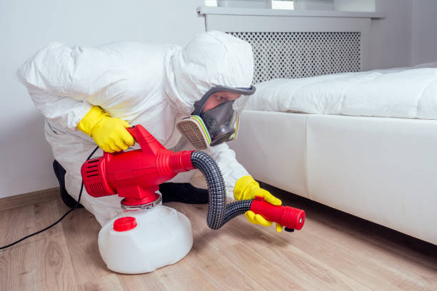 Best Affordable Pest Control Services  in Jennings, LA