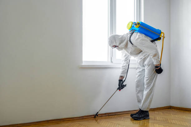 Flea Control Services in Jennings, LA