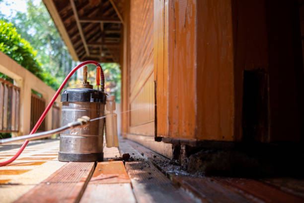 Best Pest Removal Services  in Jennings, LA