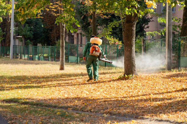 Best Exterminator Services  in Jennings, LA