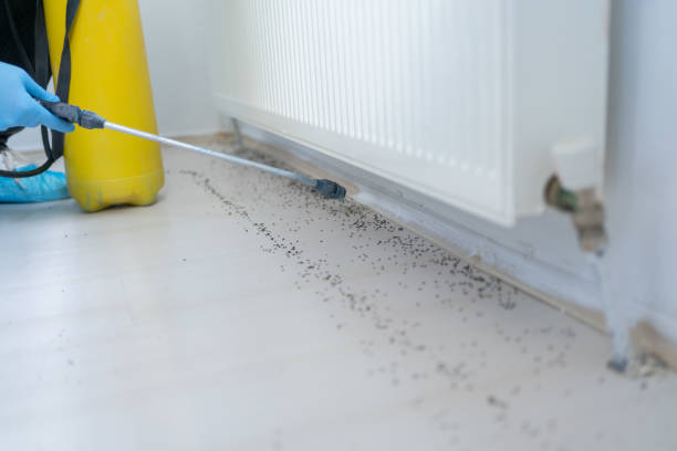 Best Pest Removal Services  in Jennings, LA