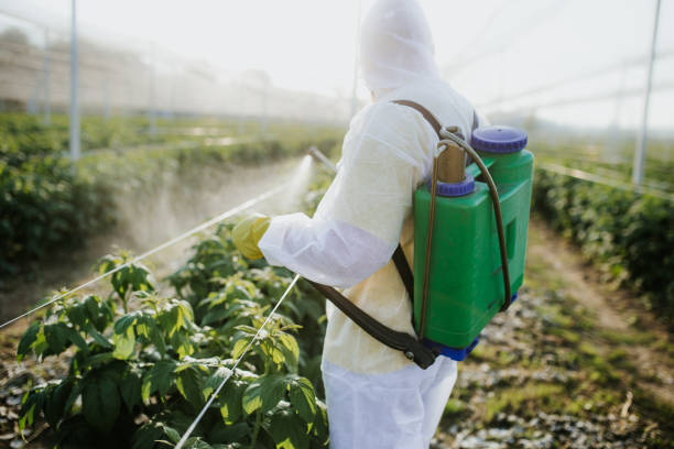 Best Bed Bug Extermination  in Jennings, LA